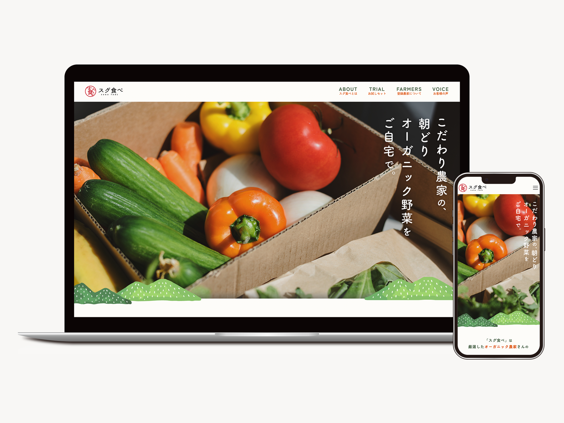 オーガニック野菜販売サイト詳細へのボタン